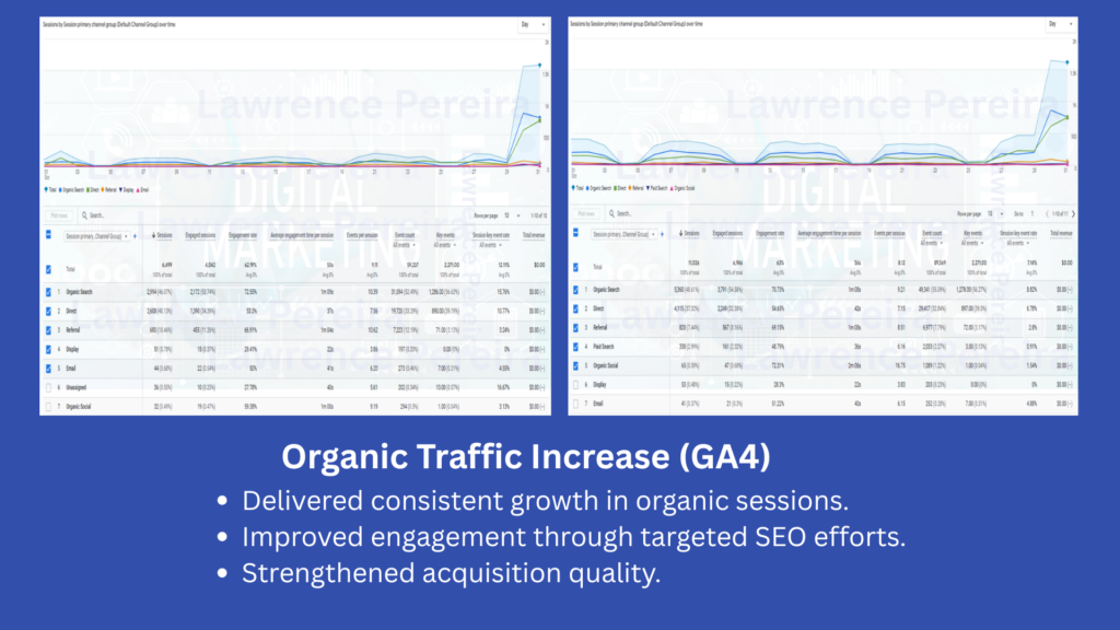 Organic Traffic Increase
